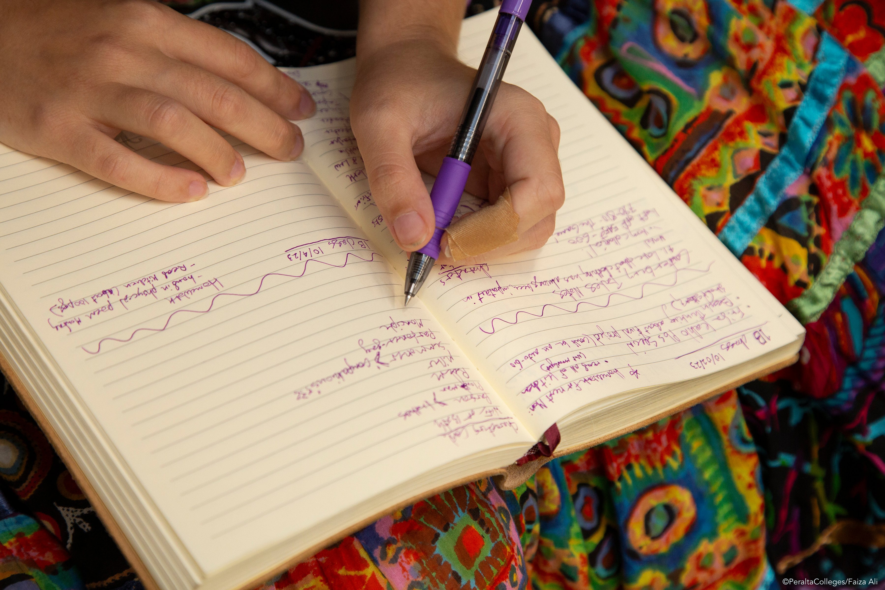 Languages, Stories, and Ideas